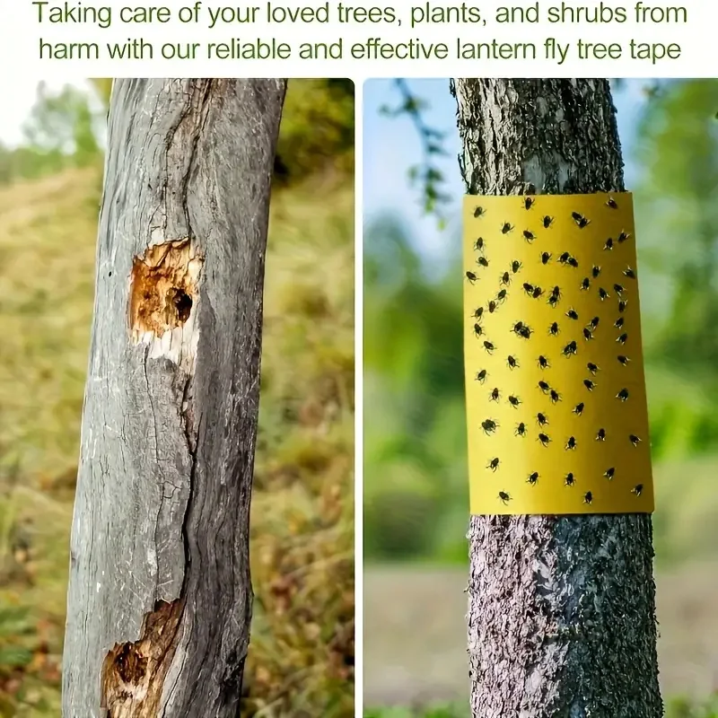 1 Rolle doppelseitiges klebriges Insektensperrband, wirksam gegen Schädlingsbekämpfung im Freien, selbstklebend, geeignet für Bäume, Gärten – Detail 9