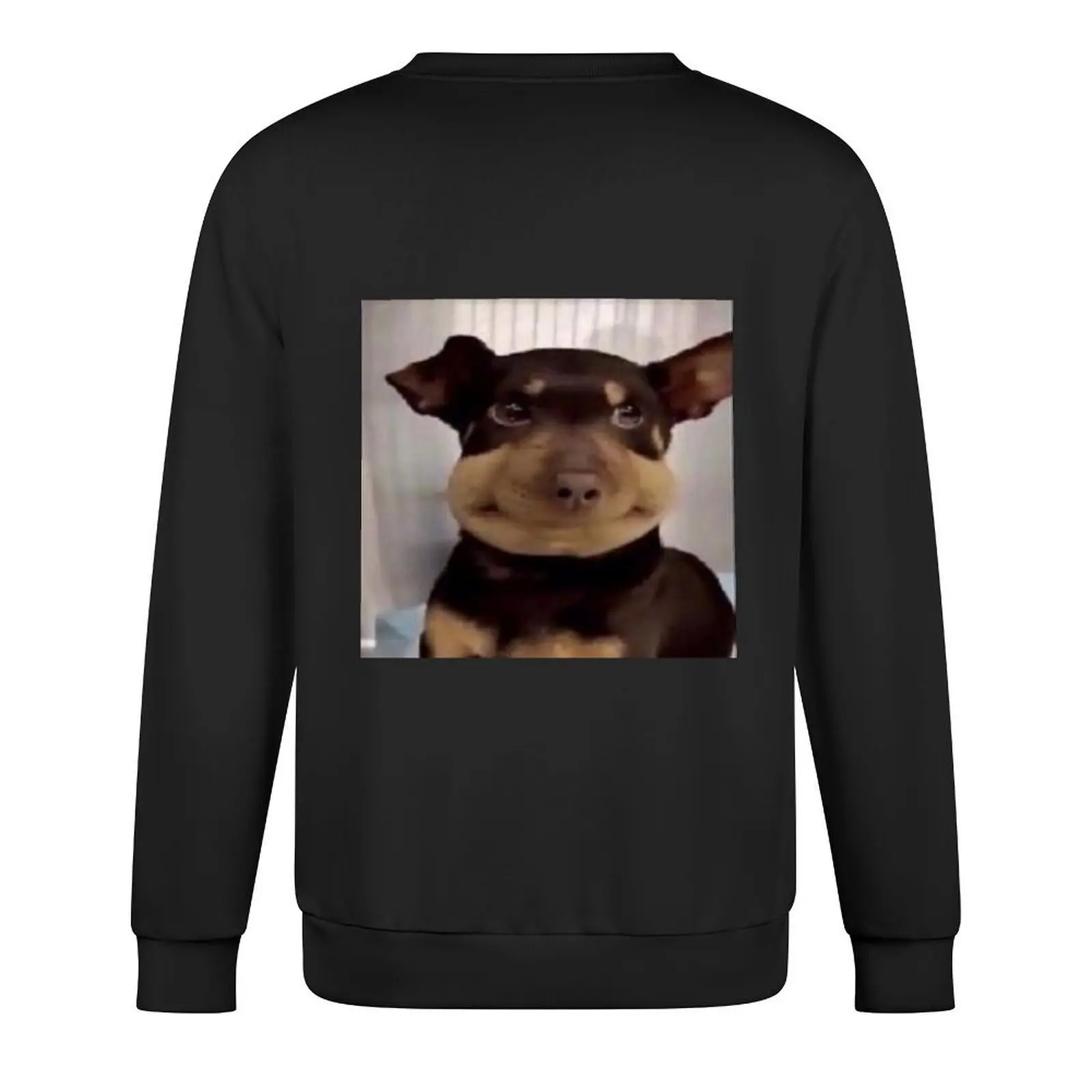 Figglebottom the Dog Pullover ملابس رجالي ملابس رجالية ملابس رياضية رجالية جديدة في هوديس وعرق قميص