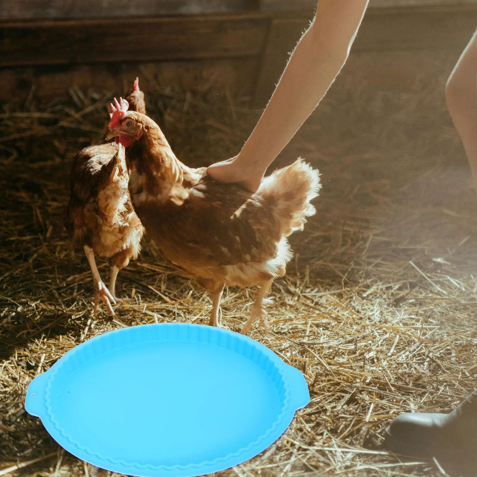 

Chicken Nesting Pads Washable Silicone Mat For Egg Laying Coop Reusable Bedding Liner Sky-Blue Nesting Boxes For Chickens