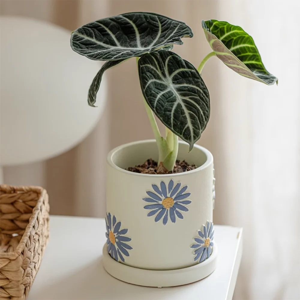 قالب زراعة أسمنتي منقوش على شكل فيونكة وأقحوان - قالب وعاء زهور سيليكون كبير لديكور الحديقة، مزارعي الجبس بنفسك مع زهور ثلاثية الأبعاد