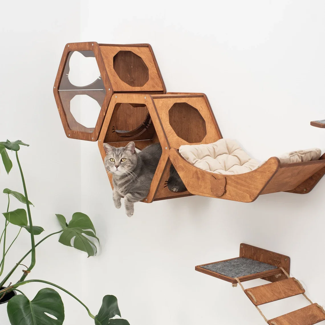 Wall Hanging Climbing Rack Cat Jumping Platform Furniture Pet Shop Wall Climbing Ladder Wooden Cat Shelf Indoor Climbing Rack