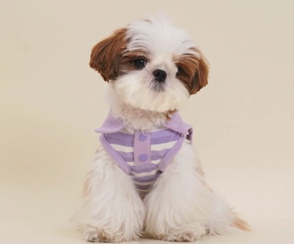 Pastel Color Lightweight Comfortable Dog Sweater for Puppy French Bulldog Spring Summer Pet Clothes Breathable Soft Fabric