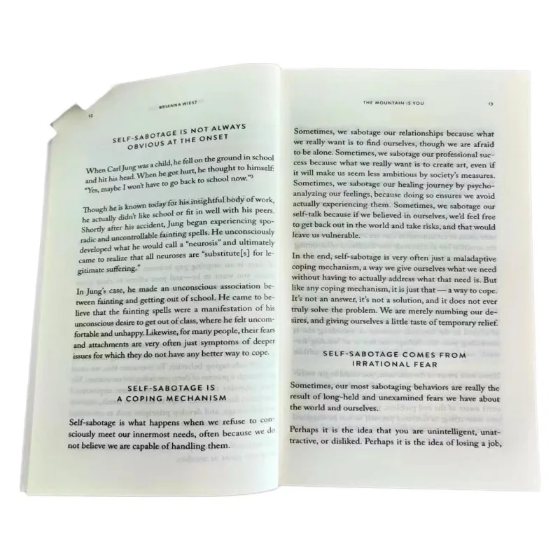 산은 당신이다: 자기 파괴를 자기 통제로 변화시키기 영어 책