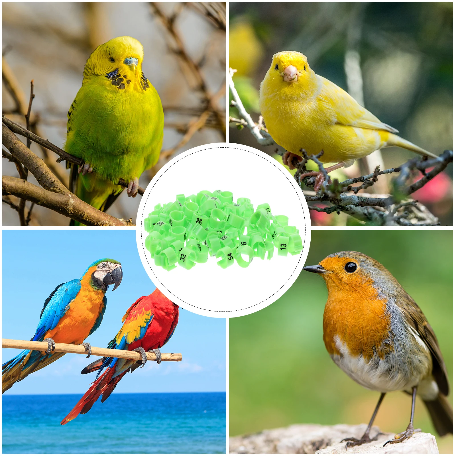 

100pcs Bird Rings Numbered Chicken Leg For Racing Aluminum Foot Bands Reusable Poultry Identify Markers Lightweight Bird