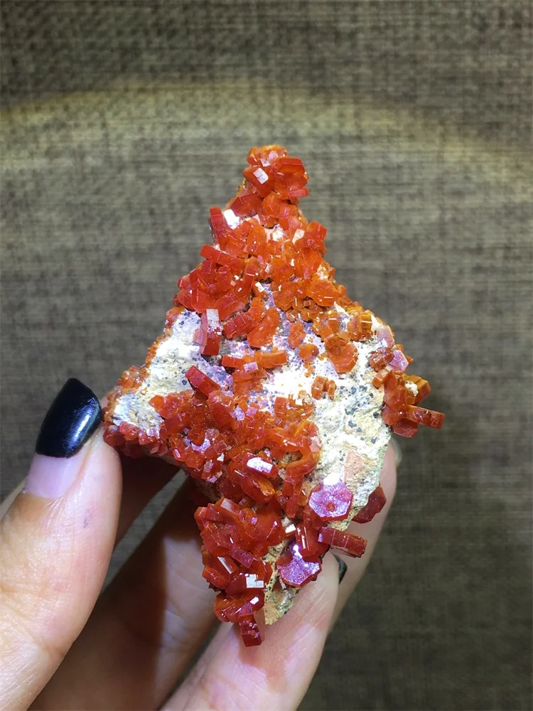 

l Минеральный кристалл Образец свинцовой руды Камень Геологическое обучение Дисплей Декоративный Ciekawy Ro Новый Fre out Science P...