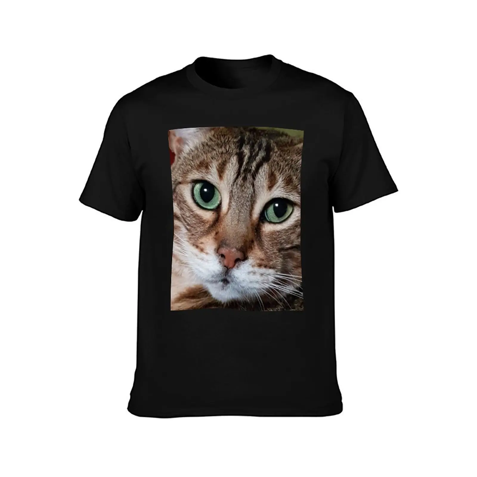 Brown Spotted Bengal Cat 3 T-Shirt Trendy Pattern T-Shirt for Men