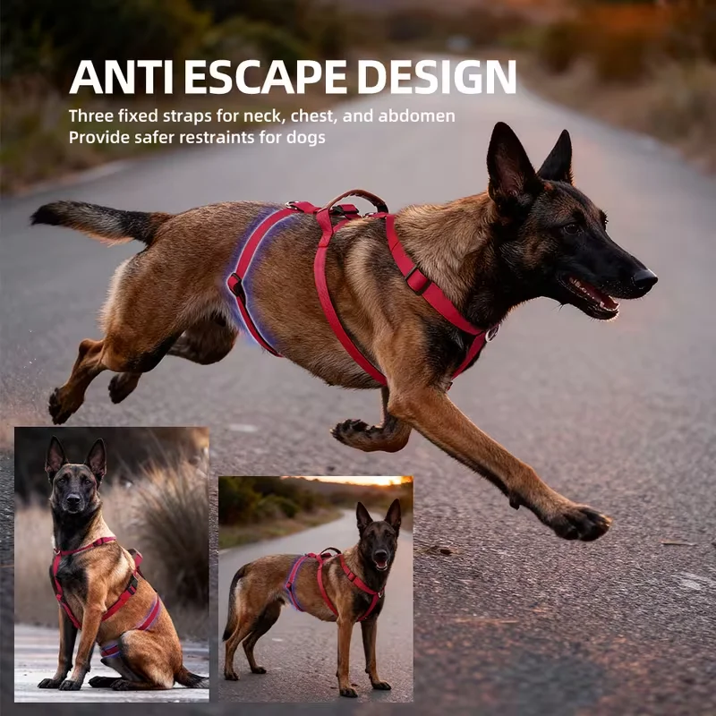 Strapazierfähiges Nylon-Geschirr für mittelgroße bis große Hunde, ausbruchsicheres Hundegeschirr, weich, bequem, atmungsaktiv und nicht stickig, D – Detail 7