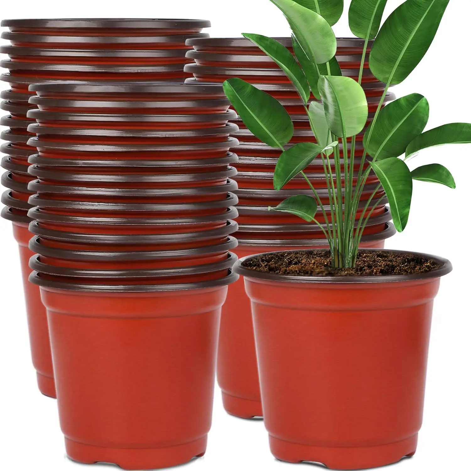 

130 Packs 6 Inches Plastic Plant Nursery Pots, Seed Starting Pot Flower Container for Succulents, Seedlings, Cuttings, T