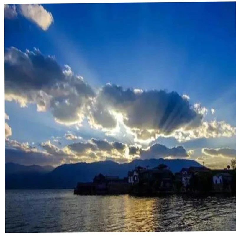 

JX Digital Servo PDI-HV5921MG 20KG Digital Waterproof Servo High Torque Metal Gear Model Aircraft RC Remote Control Cars