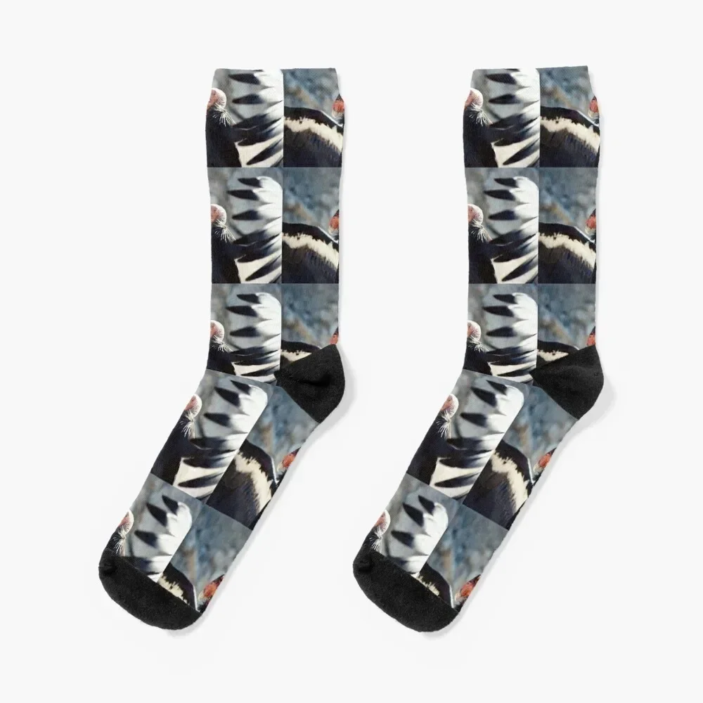 California Condor Socks funny sock valentine gift ideas Children's funny gifts Luxury Woman Socks Men's