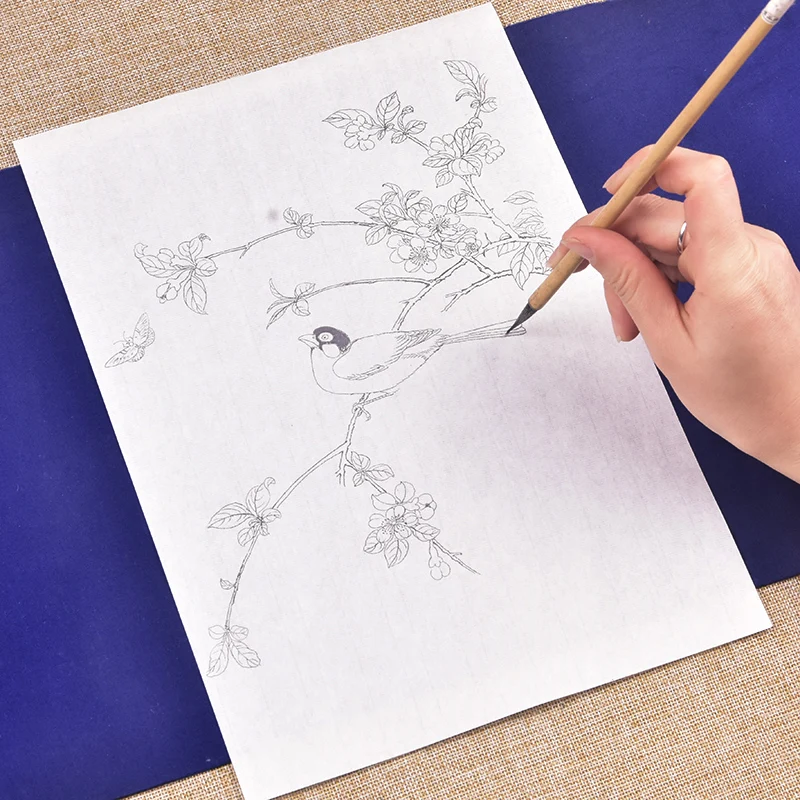 Line Drawing Painting Line Draft Traditional Chinese Painting Xuan Paper Flowers Birds Orchids Painting Coloring Draft Beginners