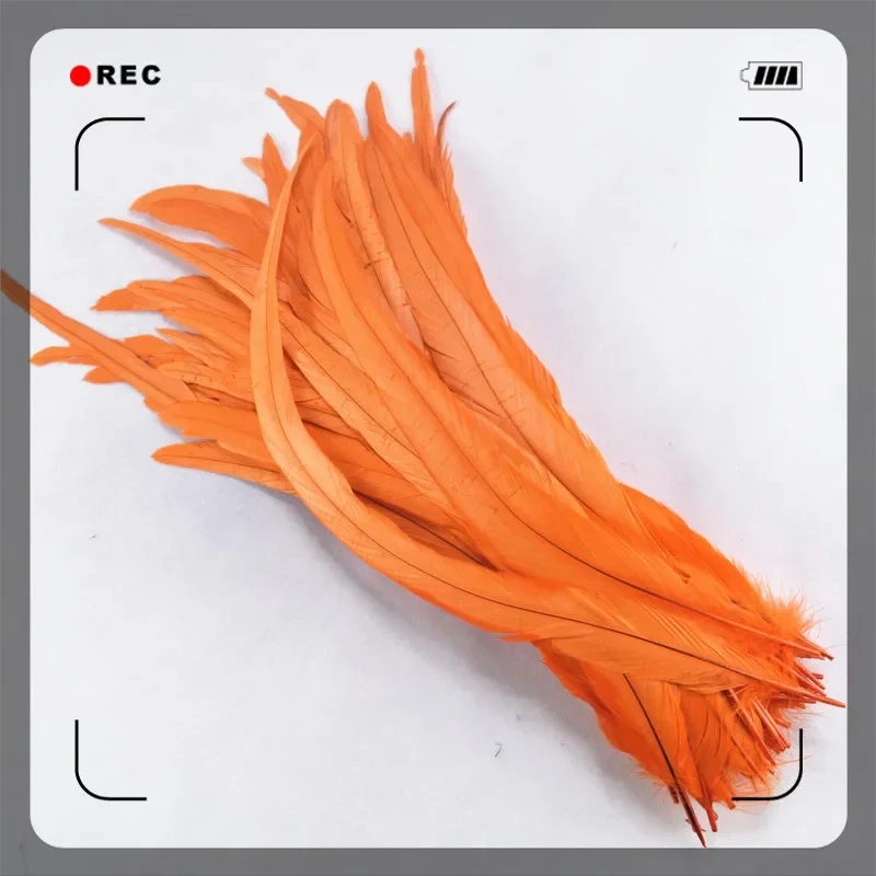 50 Stück farbige Hahnenfeder, 35–40 cm (14–16 Zoll), Hahnenfedern für Bastelarbeiten, Hochzeitsdekoration, Kleidungszubehör, DIY – Detail 7