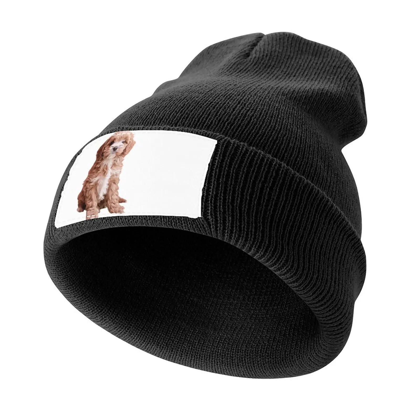 Cavapoo Knitted Cap funny hat Hat Beach Trucker Hats For Men Women's