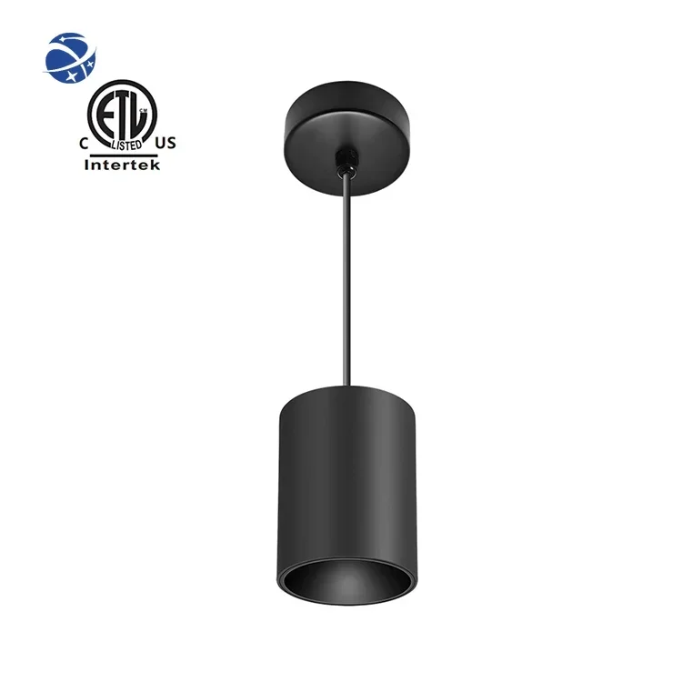 Master D IP65 Series Spotlight Adjustable Cob Downlight Adjust Down Lights Design Led Downlight Commercial Lighting For Hotel