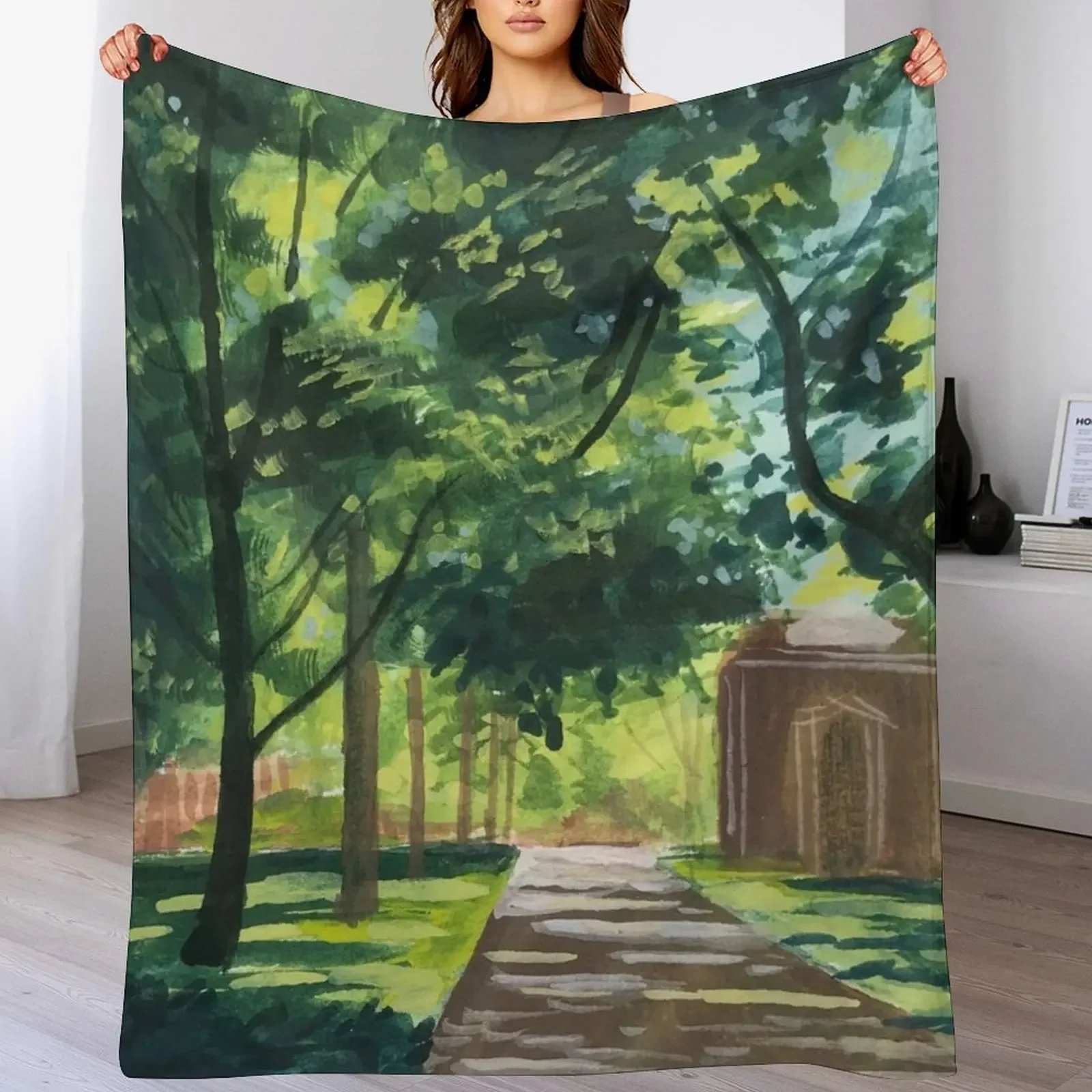

A Walk Through Yale Throw Blanket Travel Plaid on the sofa Plush Tourist Blankets
