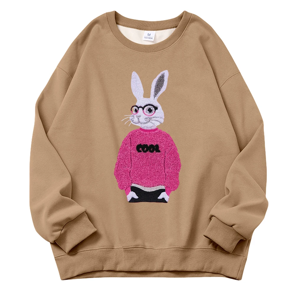 Hirsionsan Cotton Kawaii Rubbit Print Women Sweatshirt  Basic Loose Female Pullovers Korean Hoodies 2023 Autumn New Y2k Fleece