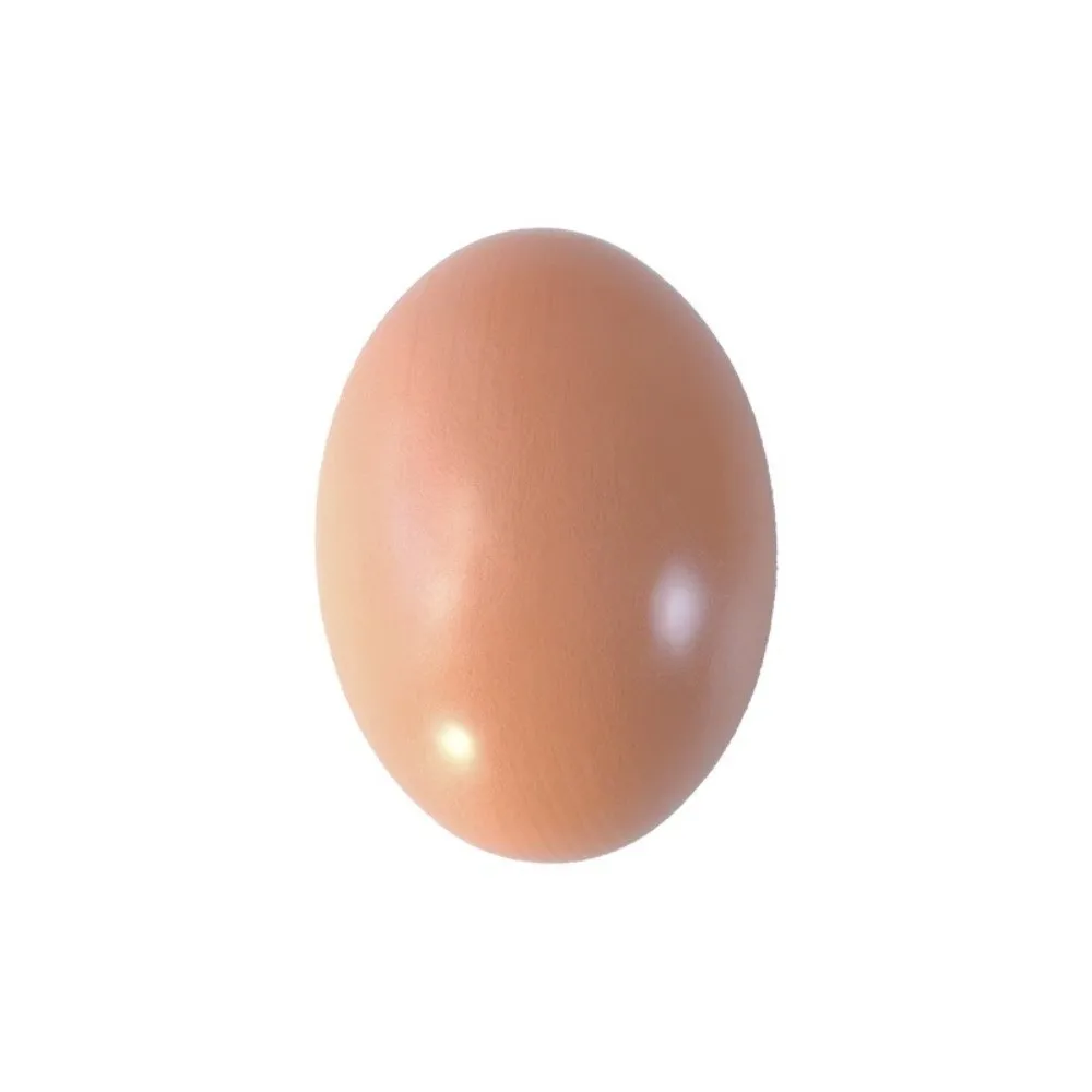 4PCS Educational 1:1 Simulated Egg Model Smooth Surface Craft Kits Kids Games Egg Kitchen Toys Classroom Activities