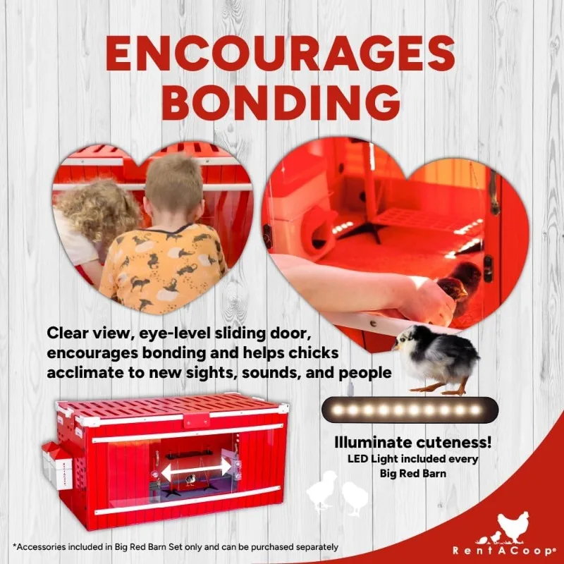 大型赤い納屋雛飼育セット（加熱プレートと止まり木防止コーン付き）、雛用餌入れ2個、雛用給水器2個、スイング付き