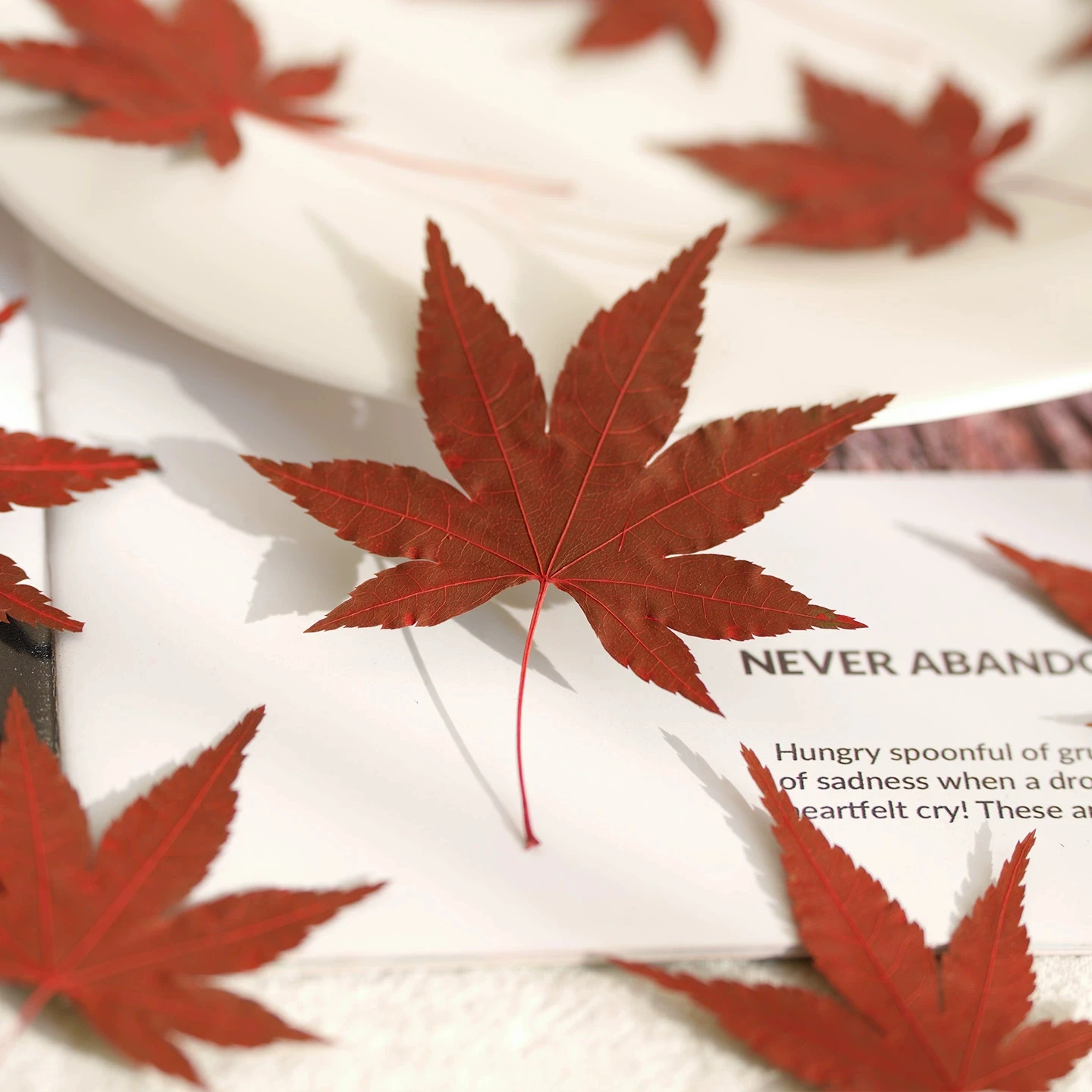 12Pcs Maple Leaf Stickers, Real Leaf Stickers, Real Flower Leaf Stickers, Plant Specimens, Dried Flowers, Pressed Flowers, Phone Case Bookmarks, Autumn Leaves