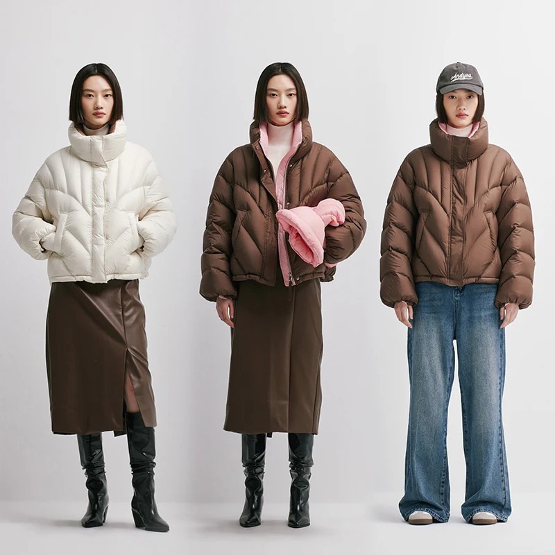 Chericom Chaqueta corta de plumón para mujer, silueta recortada, acolchado, minimalista, cuello levantado, informal, cálido, acolchado, prendas de vestir exteriores Y298089Y
