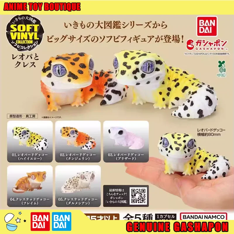 

Bandai Genuine Biological Encyclopedia Lacertas Geckos Figure Gashapon Ball Soft Rubber Collectible Ornaments Original