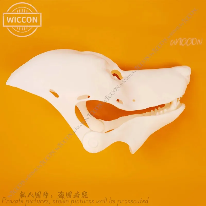 الجمجمة Canidae الجمجمة مفتوحة الفم فروي DIY قسم واقعي تأثيري هالوين زي الجمجمة الدعامة هالوين حفلة امرأة رجل #2