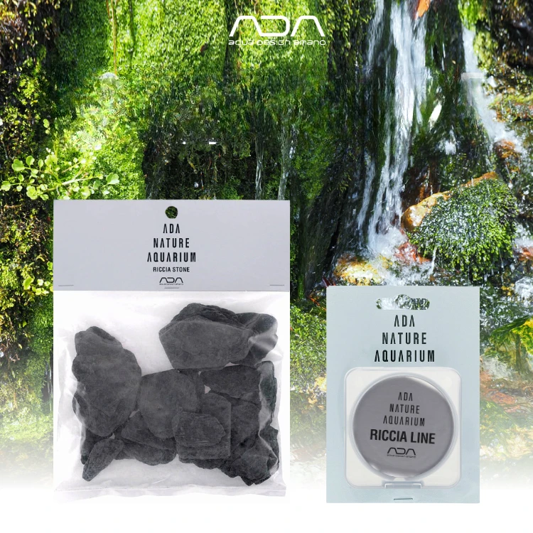 ADA corna di cervo muschio fil - Planted Aquarium Ada recensione e prezzo