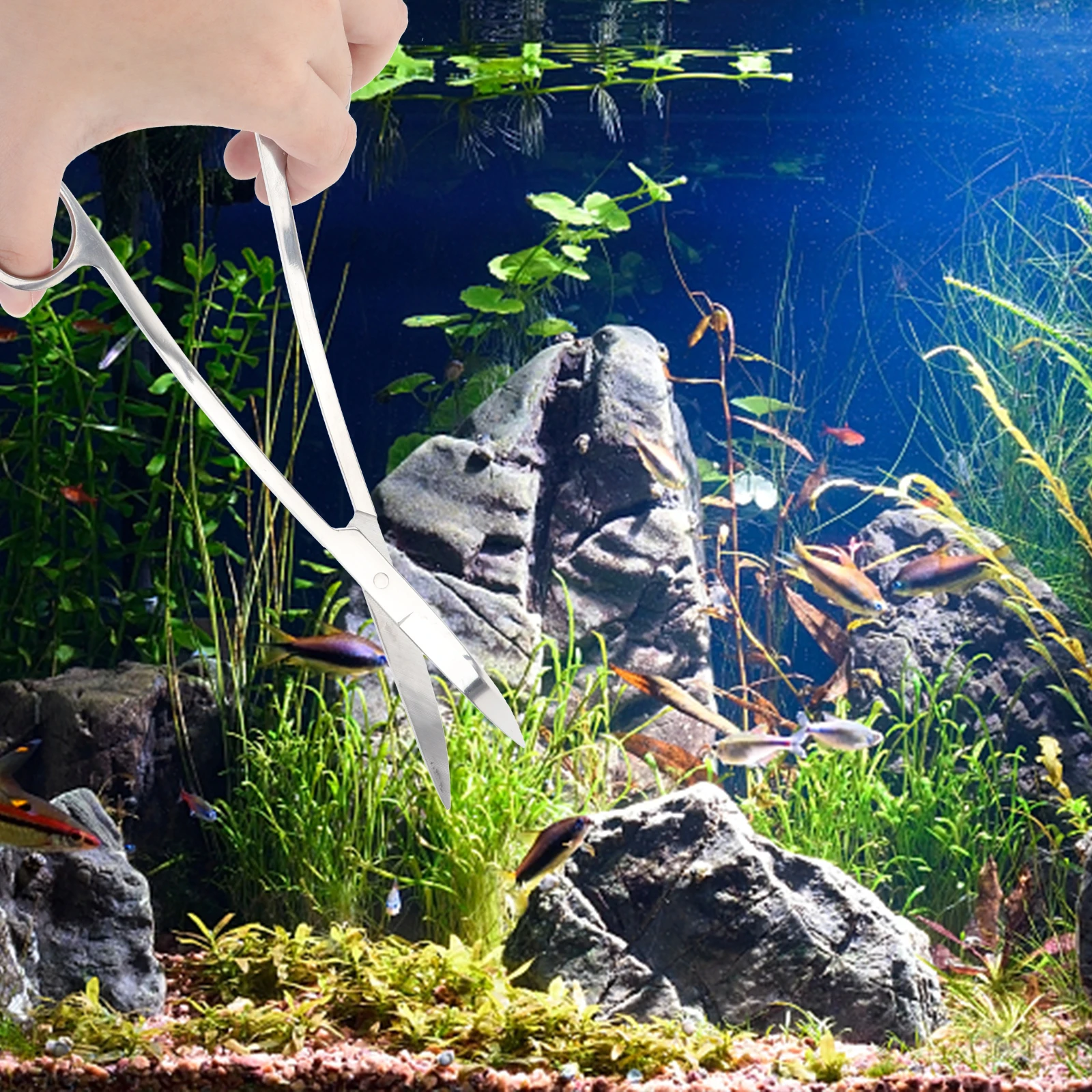 

24Cm Stainless Scissors Sharp Blade For Aquarium Plant Trimming Fish Tank Tools Aquatic Plant Scissors Underwater