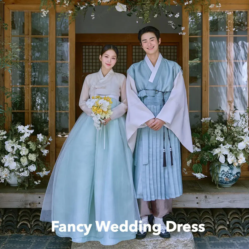 Fancy Simple V Neck Light Blue Wedding Dress Korea Photo Shoot A Line Organza Bridal Gown Long Sleeve Floor Length Formal Dress