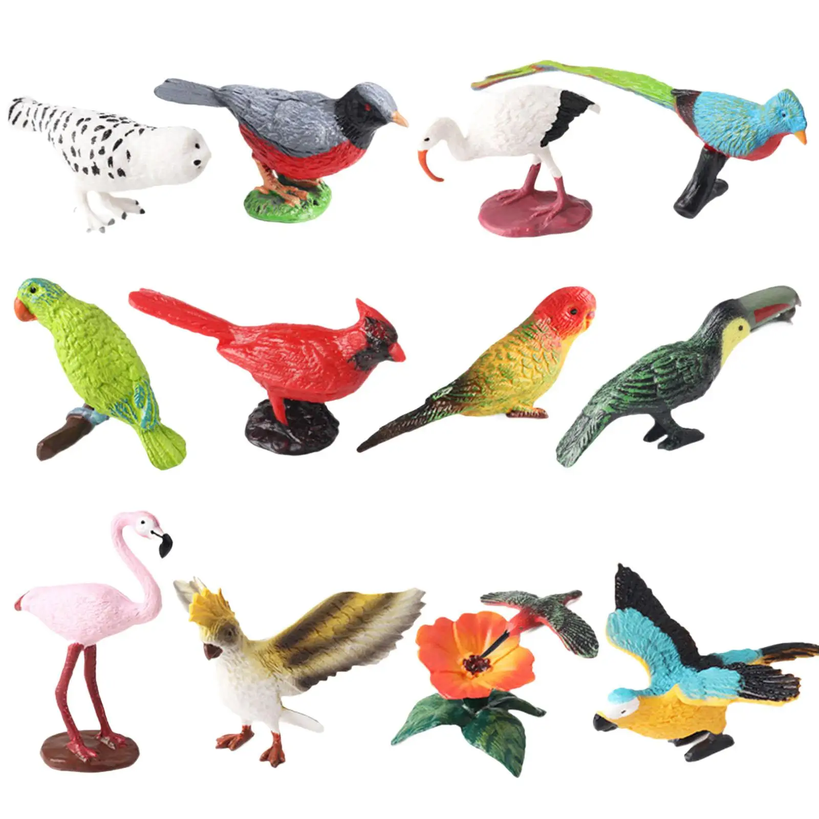 12 figurine di uccelli in miniatura modello animale realistico set di simulazione in miniatura