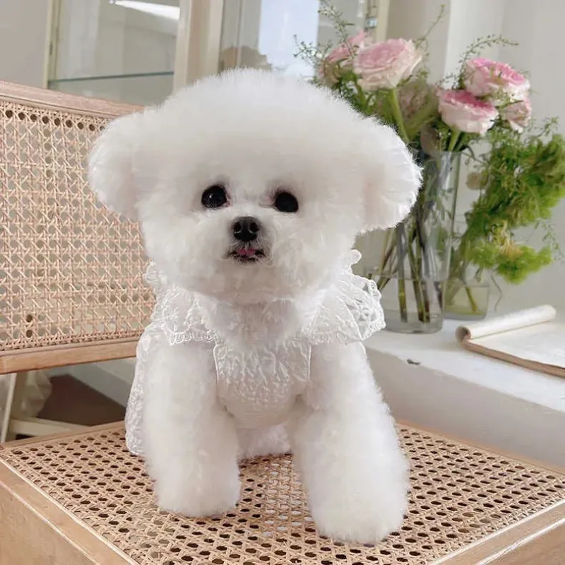 Ins Fashion Lace Summer Dog Clothes Wedding Dress Bow Lace Dress Teddy Bichon Dog Clothes Hawaiian Dog Dress Cute Puppy Clothing