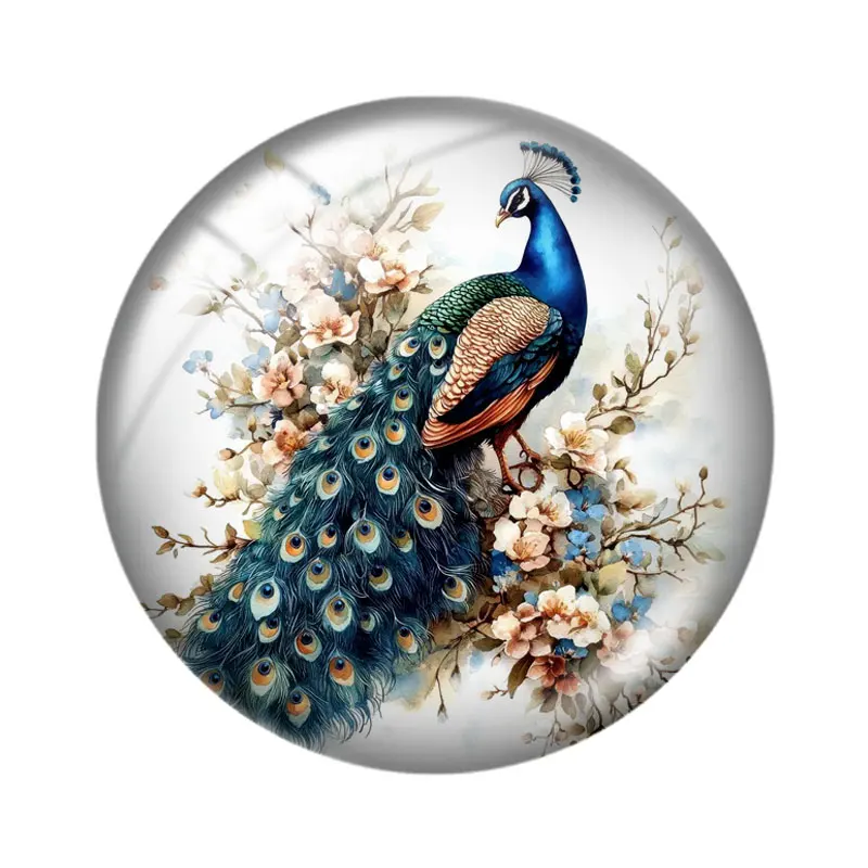 رائعتين الطاووس كليبست 10 قطعة 12 مللي متر/16 مللي متر/18 مللي متر/25 مللي متر صورة مستديرة الزجاج كابوشون التجريبي شقة عودة صنع النتائج