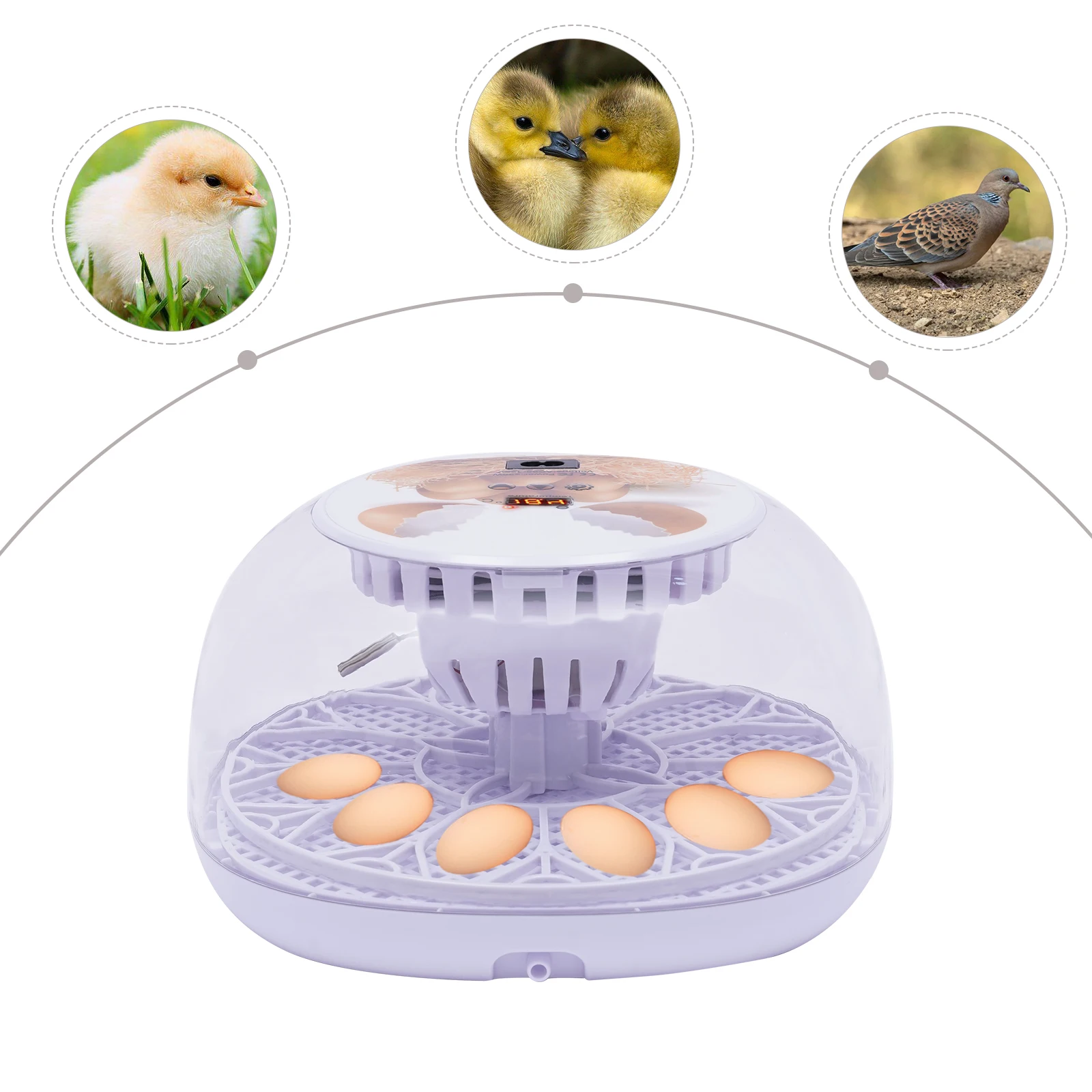 Picture 3: NEW Egg Incubators for Hatching eggs 12Clear Egg Chicken Hatcher Automatic Digital Incubator w/Temperature and Humidity Control
