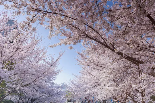 

Excellent-RC Car Upgrade Steering Set Kit For Tamiya M05 M06 , M-05Pro , M-06Pro RC Car Upgrade Accessories