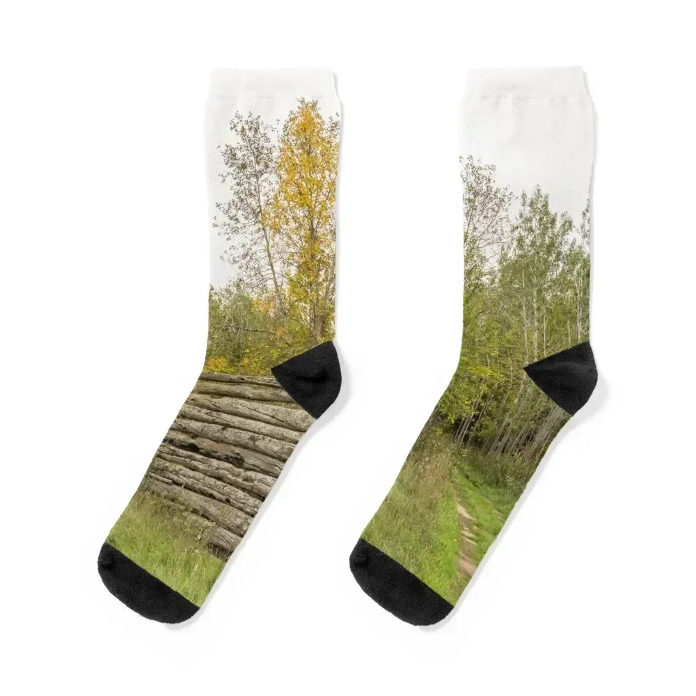 

Reclaimed by Nature - Abandoned Log Cabin in the Woods Socks hockey set FASHION crazy Girl'S Socks Men's