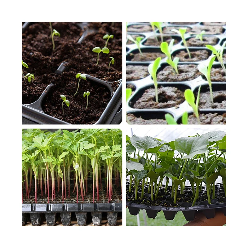 プラスチック製苗床トレイ 種まきプランター 種まき用ガーデンシードスタータートレイ 植物繁殖苗トレイ