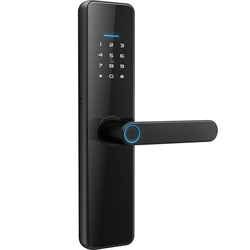 Indoor door lock graffiti, one grip open fingerprint password smart door lock