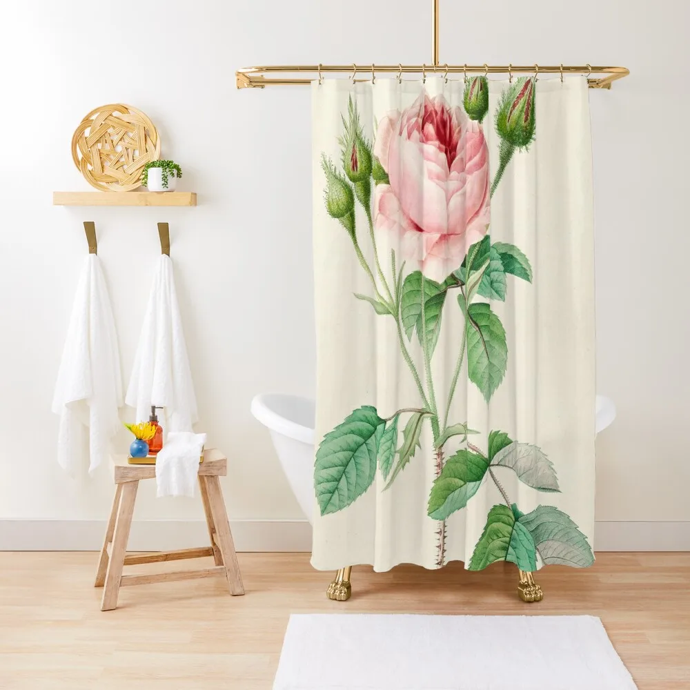 

Rose #1 Botanical Illustration Shower Curtain Bathroom Deco Modern Bathroom Accessories Bathroom Shower Set Curtain