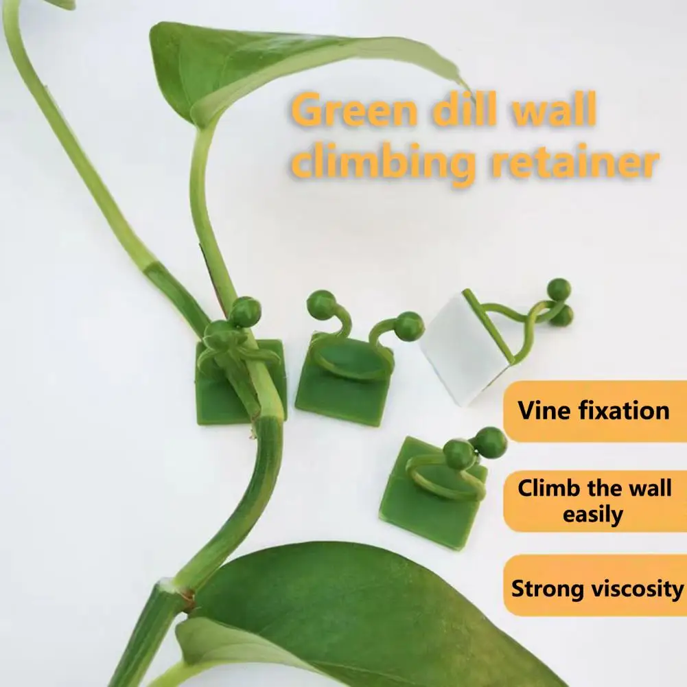 50Pcs Vine Fixer No Residue Rattan Fixer Strong Load-bearing Wall Hanging Climbing Plant Vine Fixing Holder Garden Gadget