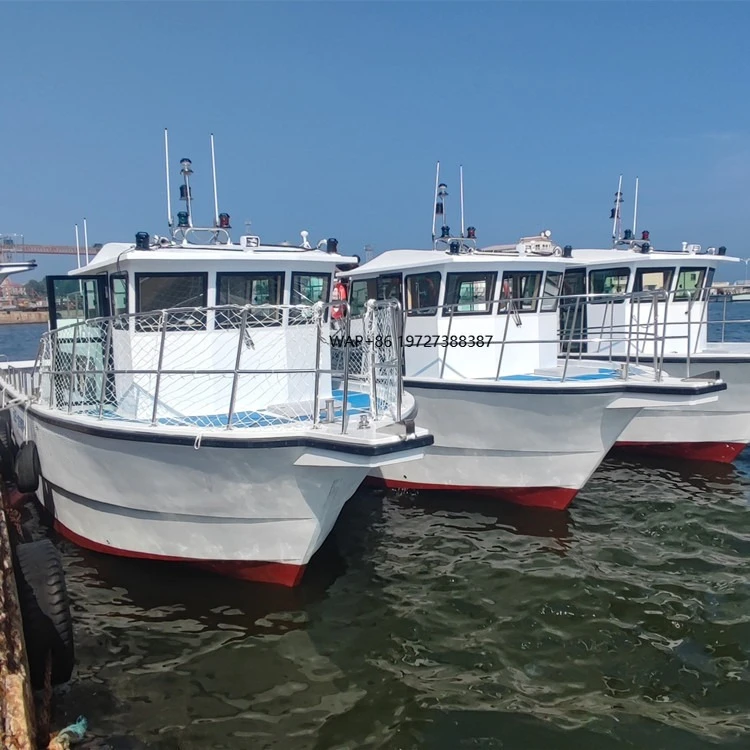 Barca cingolata per barca da pesca per il piacere da 16 m