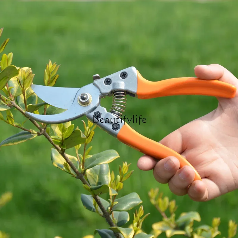 

Gardening Tools Branches Pruning Flowers and Trees Greening Tools