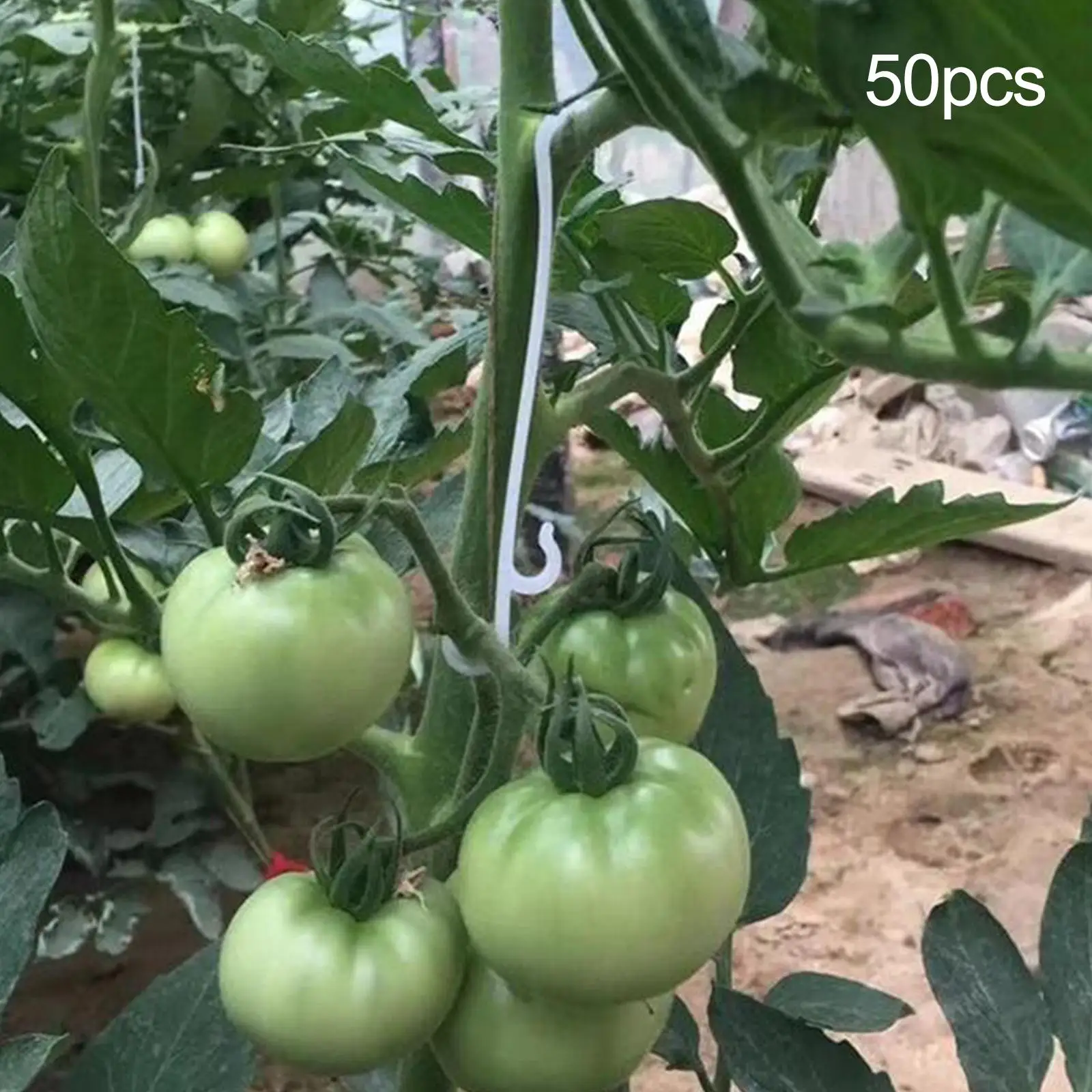 

2-6pack 50Pcs Tomato Support Clips Tomato Pressing and Pulling for
