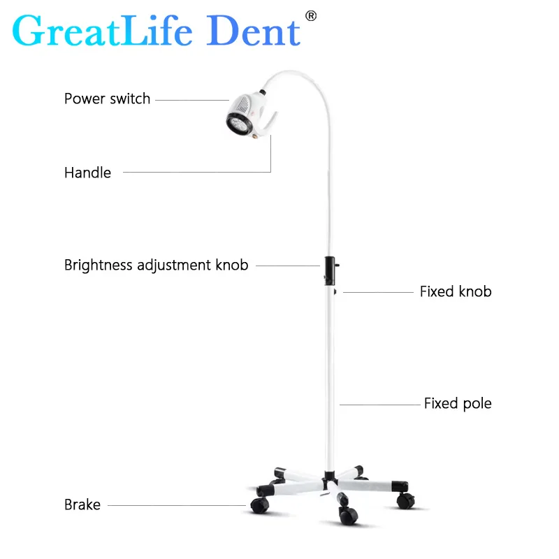 GreatLife Dent 21w 7 diod LED 50000 dożywotnia zimna bezcieniowa lampa operacyjna ruchomy stojak podłogowy stomatologiczne światło do badań