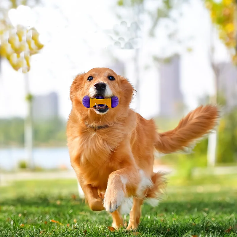 

Natural rubber multifunctional leak food hidden food dog toy for grinding teeth and cleaning teeth to relieve stuffiness pet toy