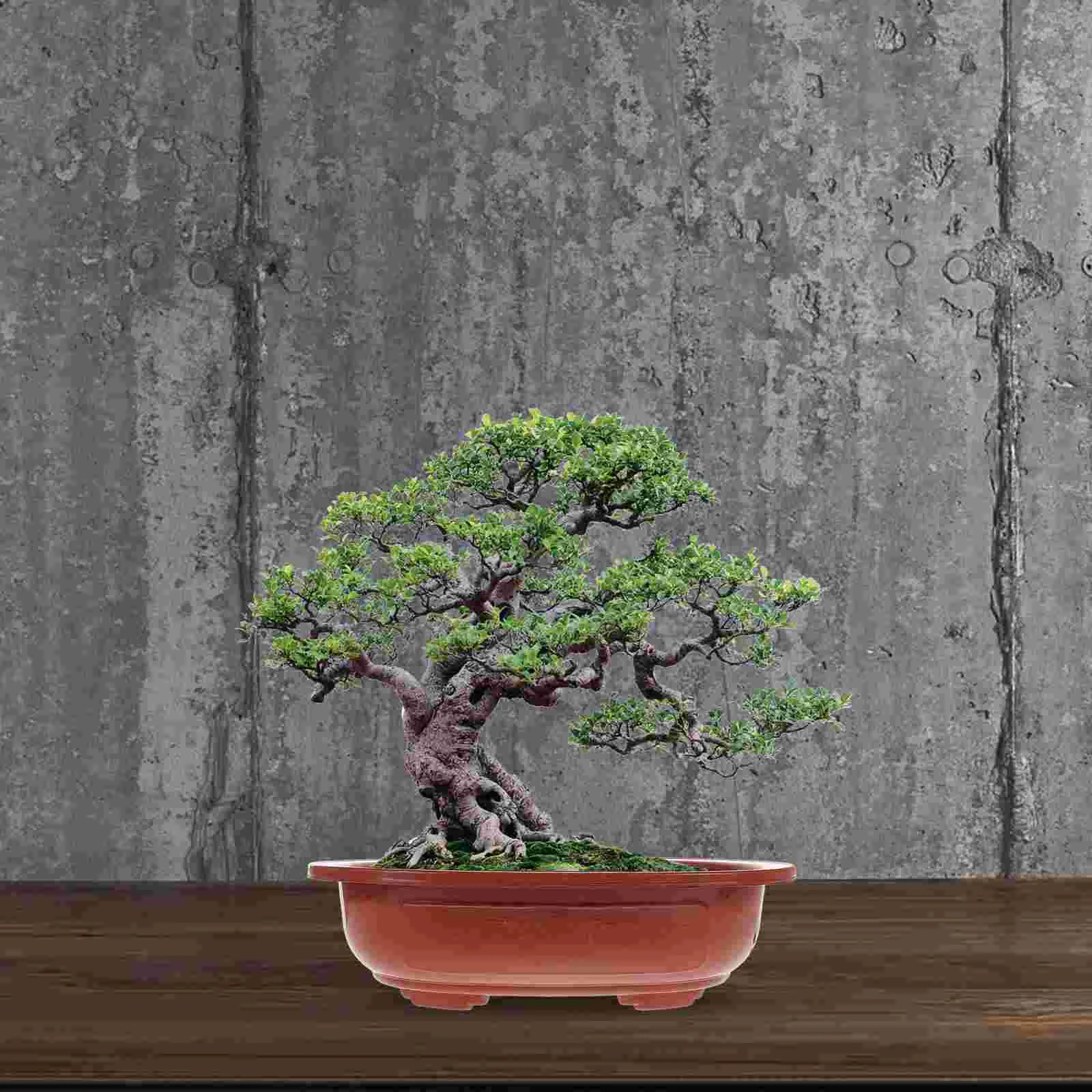 4 pezzi vaso da fiori addensato fioriera per uso domestico vasi da interno scatole per bonsai supporto per piantare piante succulente in plastica