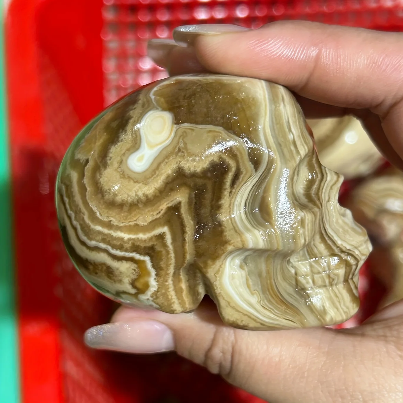 1pc Natural Chocolate Calcite Skull - Realistic 3D Carved Decoration with Amber Bands, Large 7cm/2.75in Gothic Home