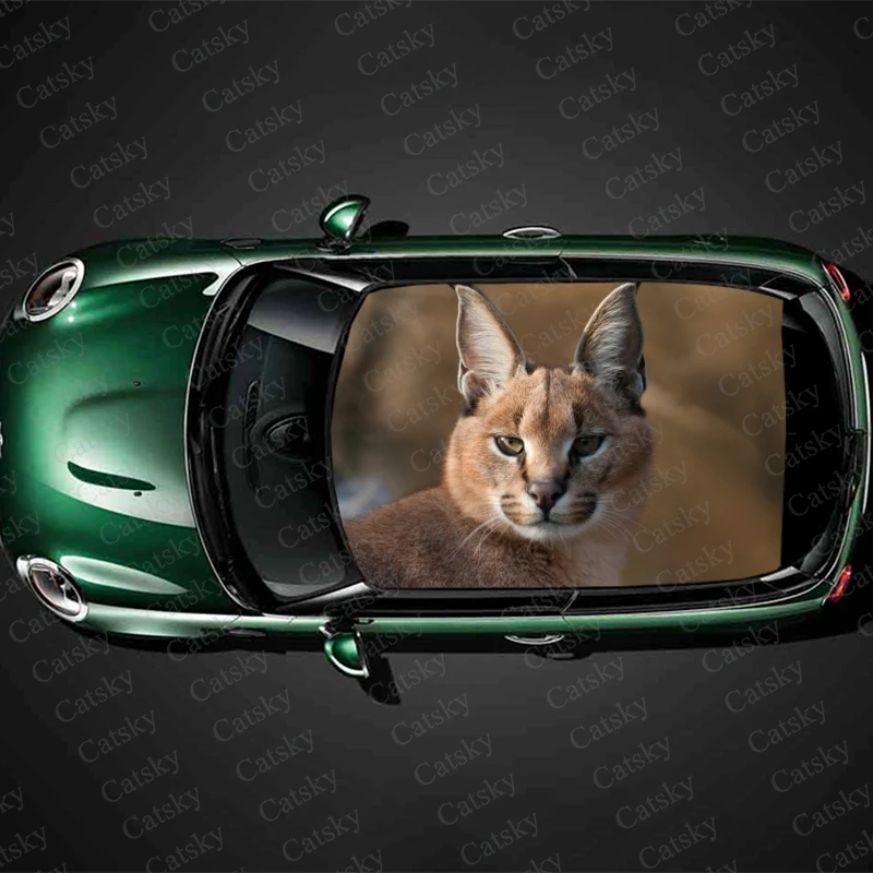 

Animal Caracal Car sticker roof sunroof decorative protective film stickers vinyl film modified itache auto decal