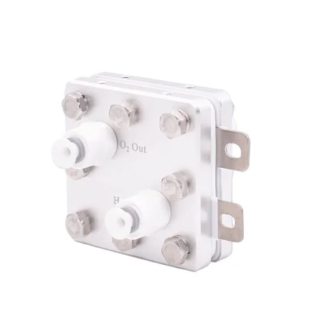 

50ml Hydrogen-rich Water Machine PEM Pure Water Hydrogen Electrolyzer Physical Hydrogen Mixing