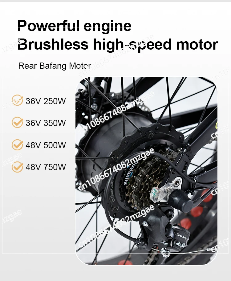 electric bike with basket New design 3 wheel electric bicycle 48V three wheels adult cargo 250w 350w 500w 750w