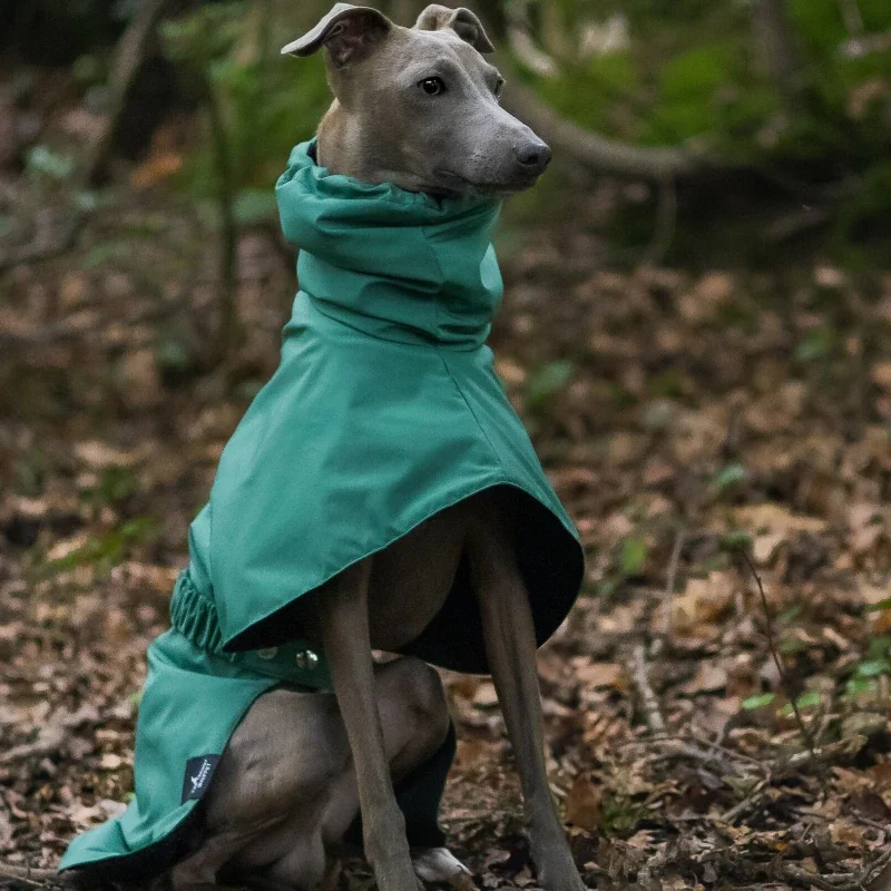 Thumbnail 2 - #23 Latest Waterproof Dog Jackets Offers